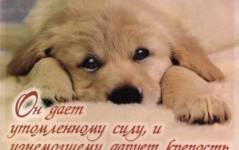 Фотография 1