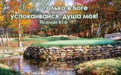 Фотография 1