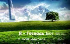 Фотография 1