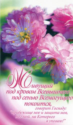 Фотография 1