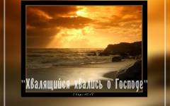 Фотография 5