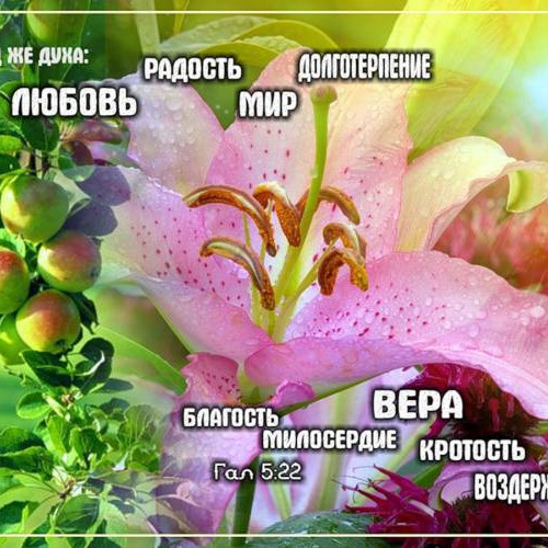 Плод духа