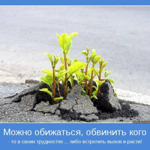 Фотография 1