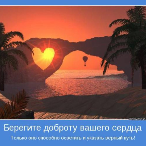 Фотография 1