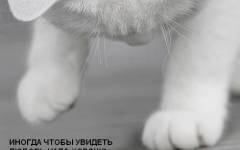 Фотография 1