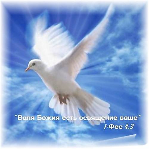 Фотография 1