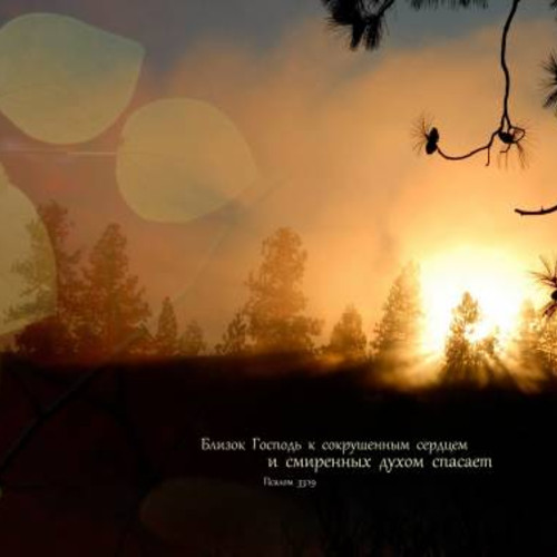 Фотография 3