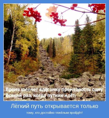 Фотография 1