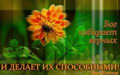 Фотография 1