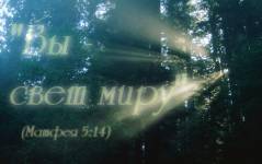 Фотография 1