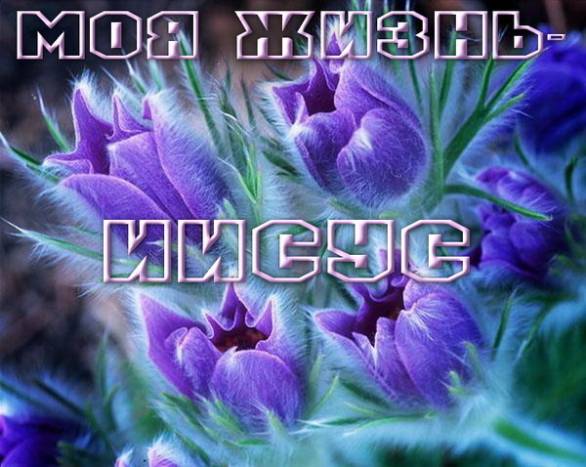 Фотография 1