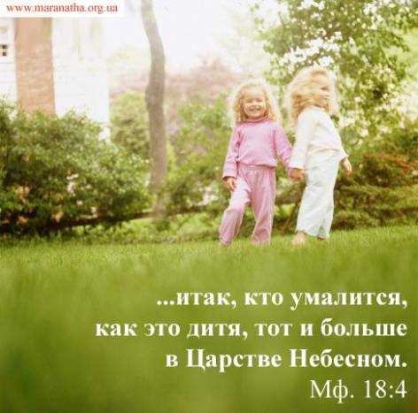 Фотография 1