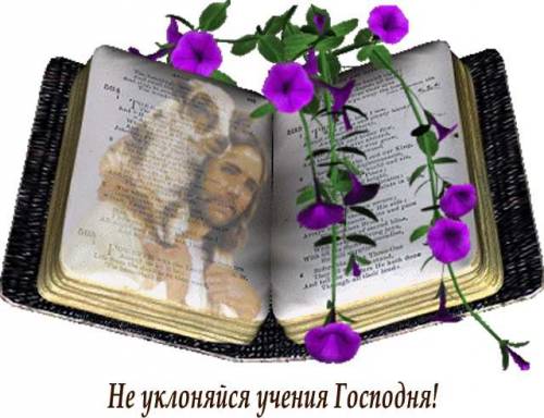 Фотография 1