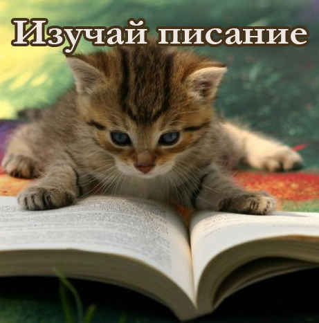Фотография 1