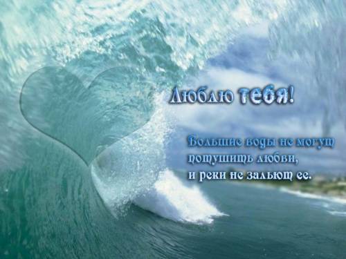 Фотография 1