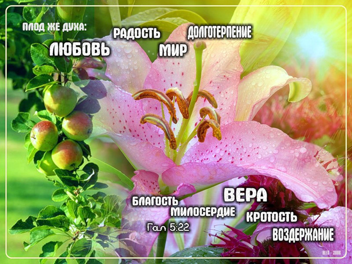 Христианские стихи для поздравления с днем рождения Христианские стихи для поздравления с днем рождения