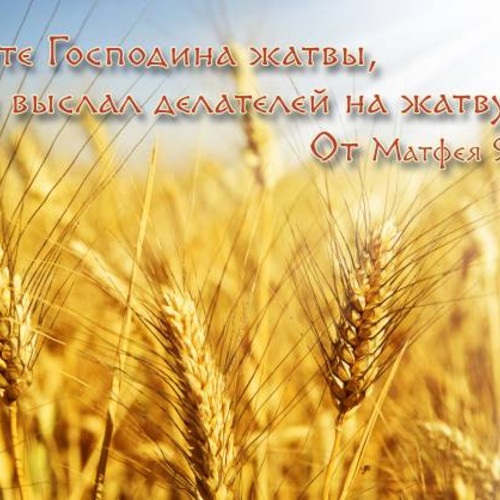 От Матфея 9:39