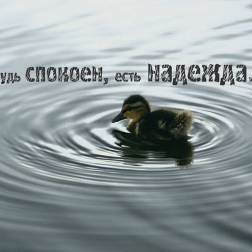 Буть спокоен, есть надежда...