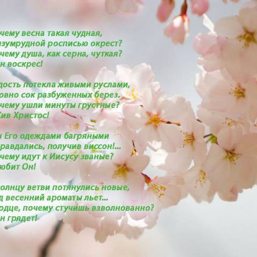 Почему весна такая чудная..