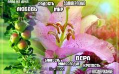 Фотография 1
