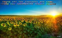 Фотография 1