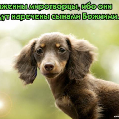 Фотография 7