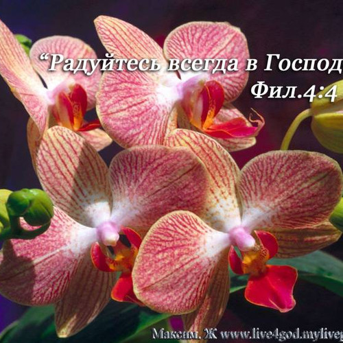 Фотография 8