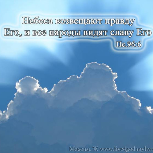 Фотография 7