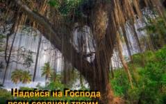 Фотография 1