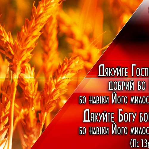 Фотография 5