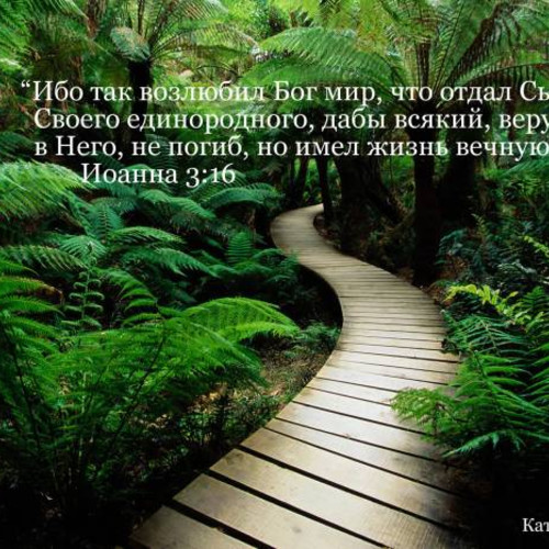 John 3:16