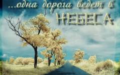 Фотография 1