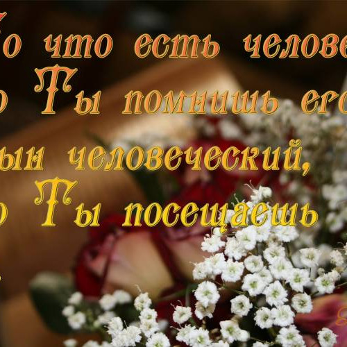 Пс.8:5