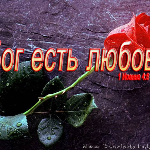 Фотография 1