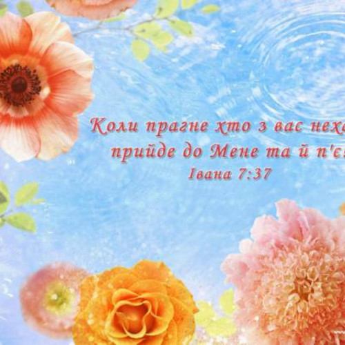 Фотография 14