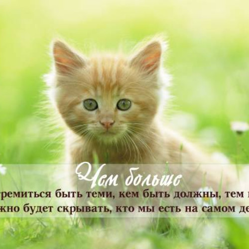 Чем больше