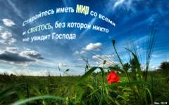 Фотография 1