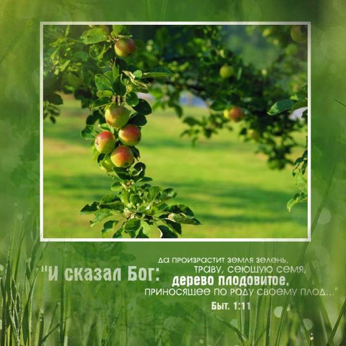 Фотография 1