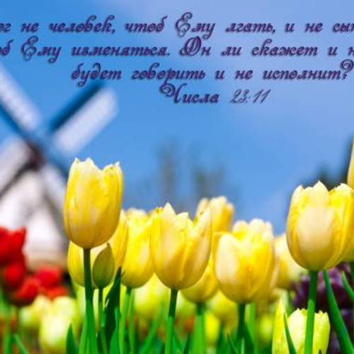 Числа 23:11