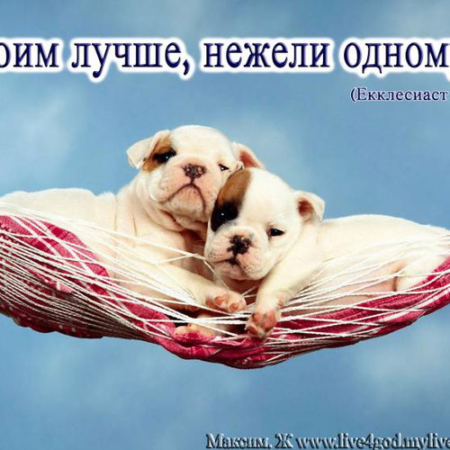Фотография 5