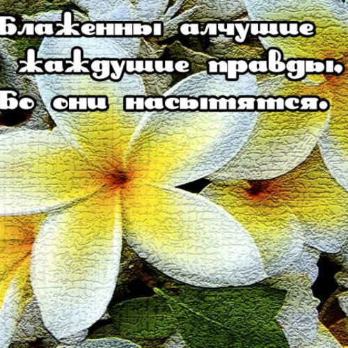 Фотография 3