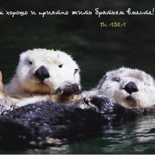 Фотография 3