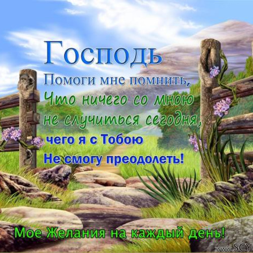 Фотография 4
