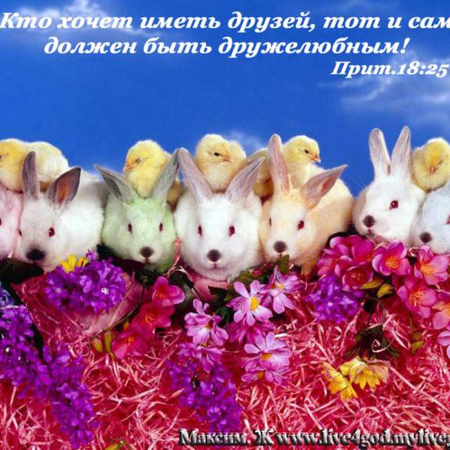 Фотография 10
