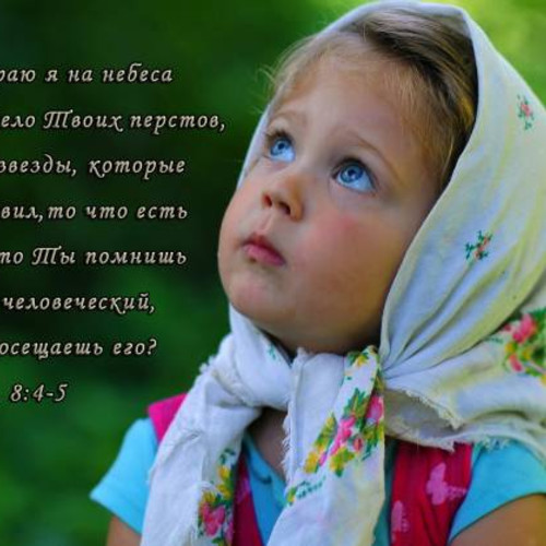 Фотография 18