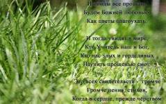 Фотография 1