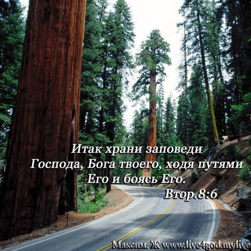 Фотография 7