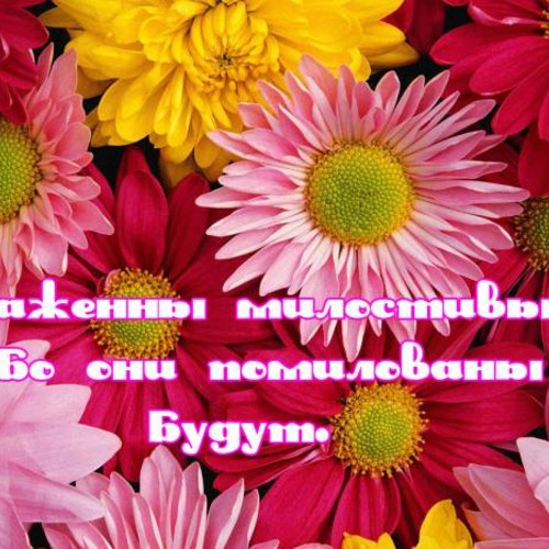 Фотография 6