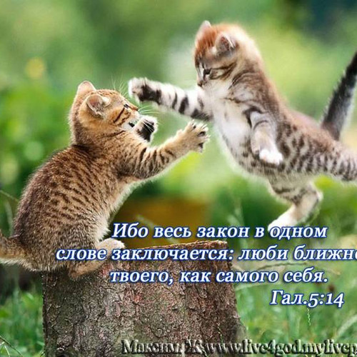 Фотография 9