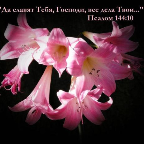 Фотография 1